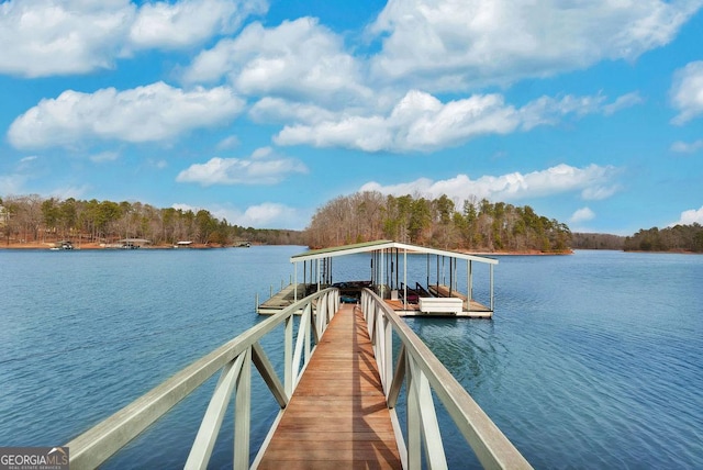 dock area with a water view