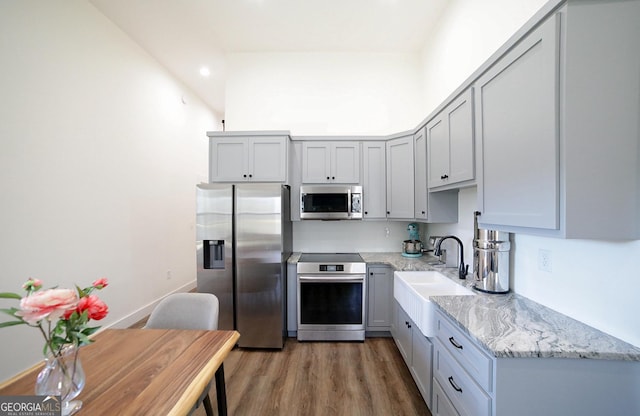 kitchen featuring light stone counters, wood finished floors, a high ceiling, stainless steel appliances, and a sink