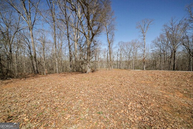 view of local wilderness with a wooded view