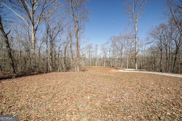 view of yard with a wooded view