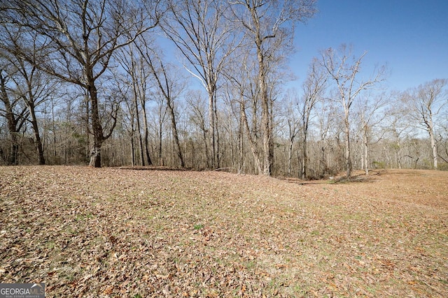 view of local wilderness featuring a forest view