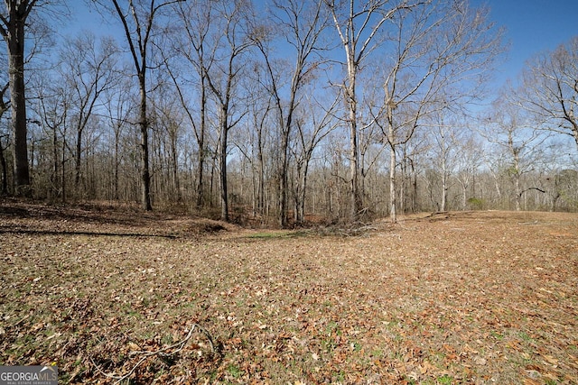 view of local wilderness featuring a forest view