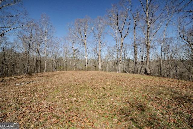 view of landscape featuring a wooded view