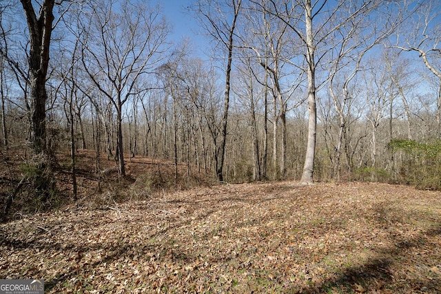 view of local wilderness with a wooded view