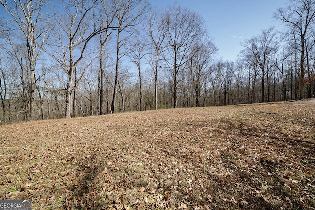 view of local wilderness featuring a view of trees