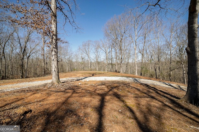 view of yard with a view of trees