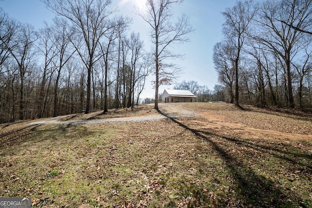 view of yard with dirt driveway