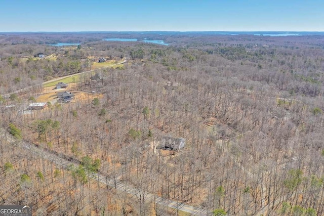 bird's eye view with a wooded view