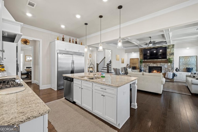 4590 Gablestone Xing, Hoschton, GA 30548 - kitchen featuring a sink, stainless steel appliances, a ceiling fan, a fireplace, and dark wood finished floors