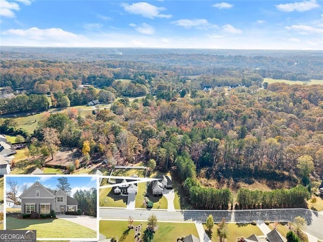 bird's eye view with a wooded view