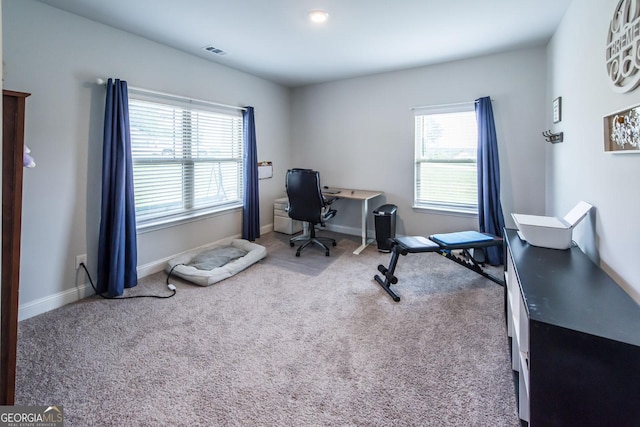 carpeted home office featuring a wealth of natural light, visible vents, and baseboards