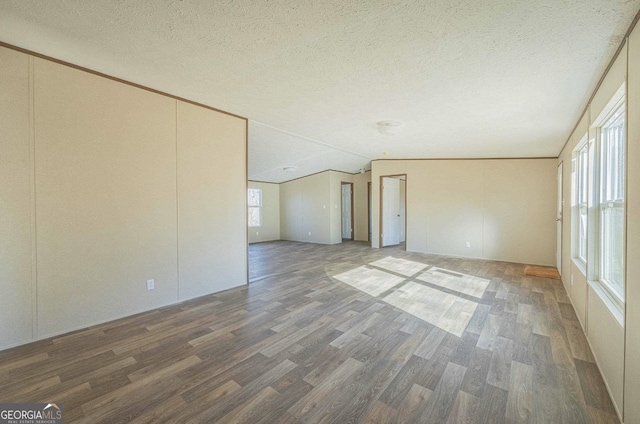 empty room featuring lofted ceiling, a textured ceiling, and wood finished floors