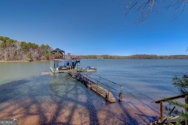 dock area with a water view