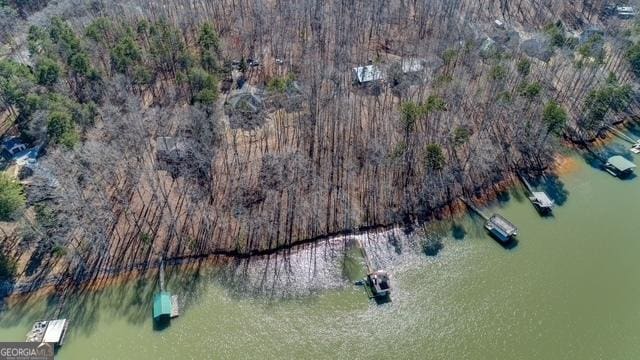 birds eye view of property with a forest view and a water view