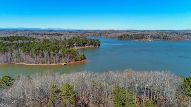 bird's eye view with a water view and a wooded view