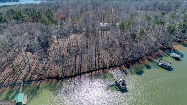 aerial view featuring a water view and a forest view