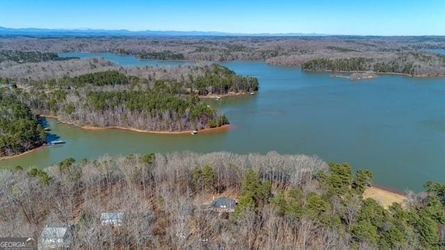 drone / aerial view featuring a water view and a forest view