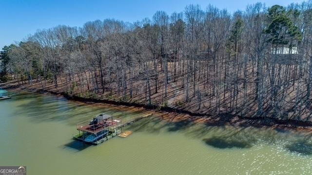 aerial view featuring a water view and a forest view