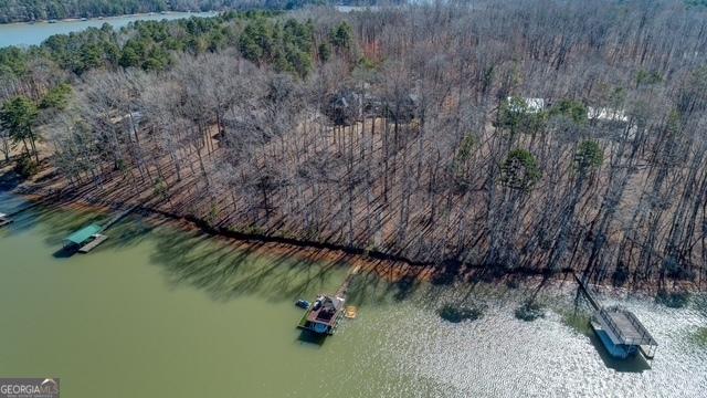 drone / aerial view featuring a forest view and a water view