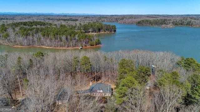 aerial view featuring a water view and a view of trees