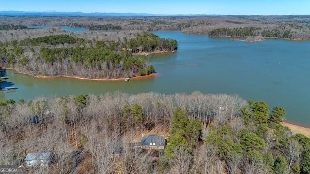 aerial view with a water view and a view of trees