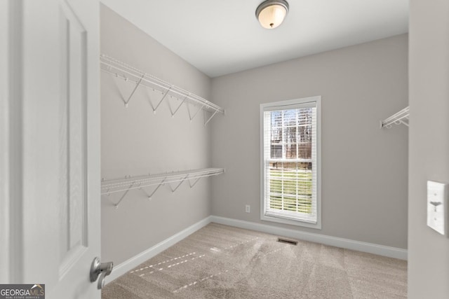 spacious closet featuring visible vents and carpet flooring