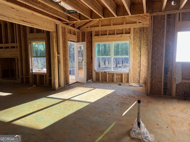 miscellaneous room with plenty of natural light