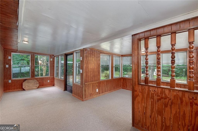 unfurnished sunroom with a wealth of natural light, wooden walls, and carpet flooring