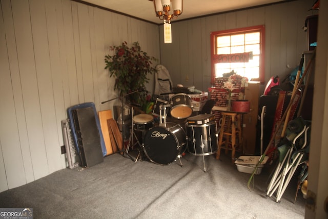 playroom with carpet flooring