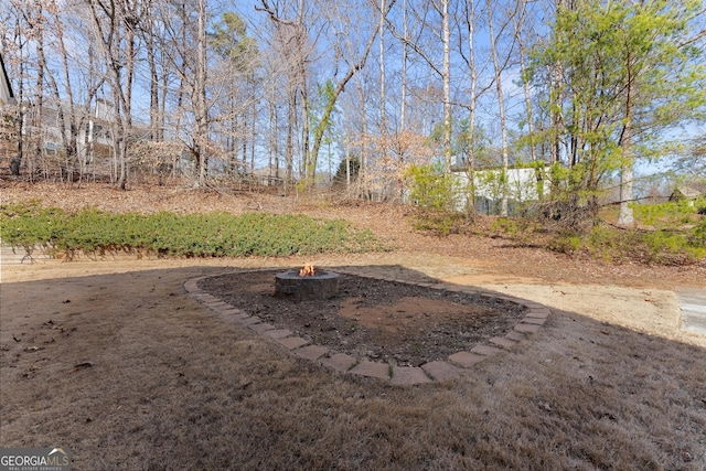 view of yard featuring an outdoor fire pit