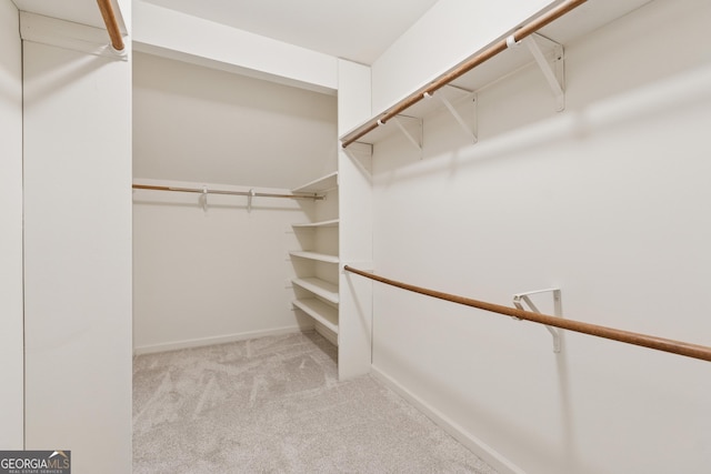 spacious closet with carpet