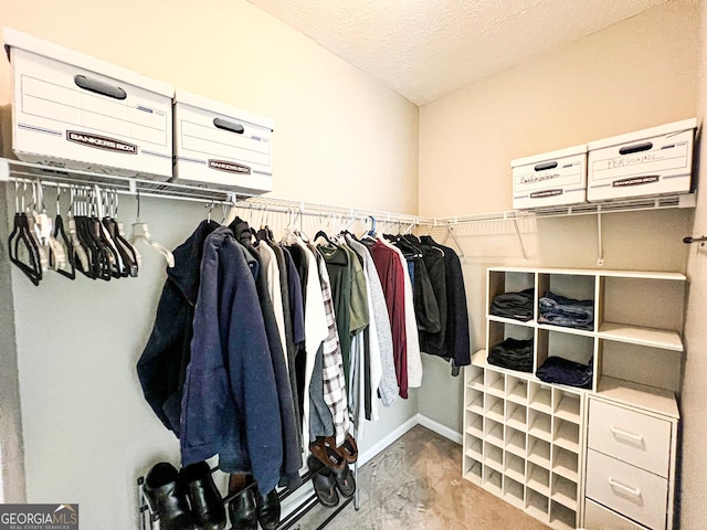 view of spacious closet