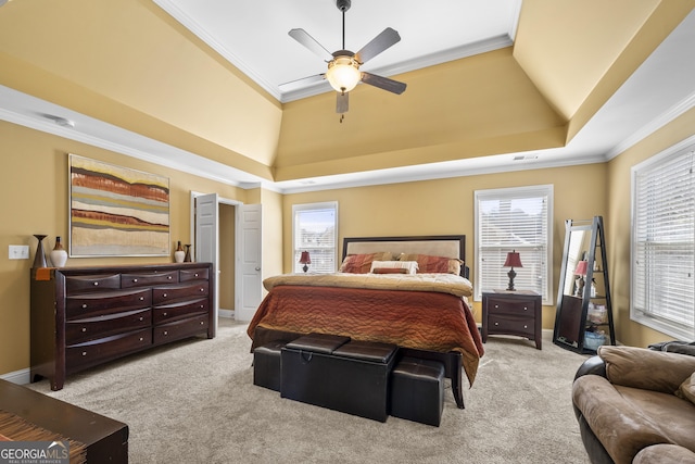 carpeted bedroom with ornamental molding, multiple windows, and a raised ceiling