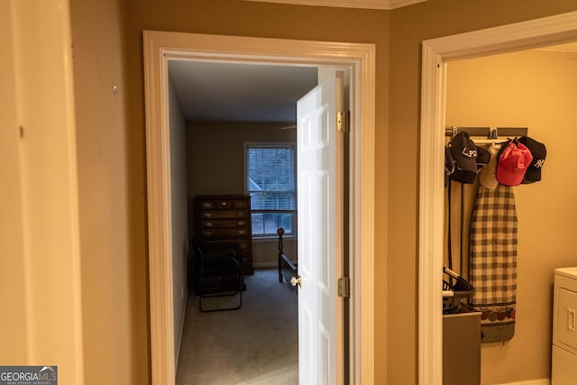 hallway featuring carpet floors