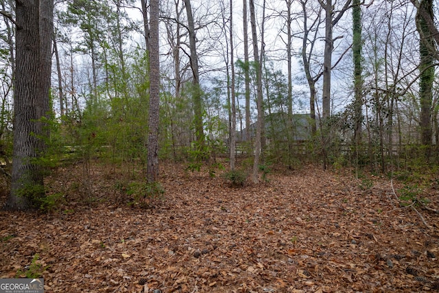 view of local wilderness