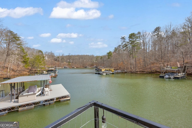 dock area with a water view