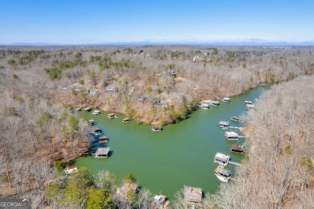 aerial view with a water view and a wooded view