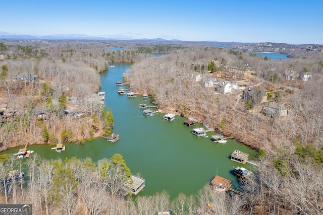 drone / aerial view featuring a water view and a wooded view