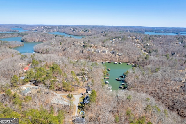 bird's eye view featuring a forest view and a water view