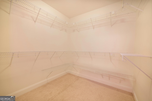 spacious closet with carpet floors