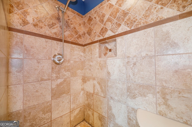 room details featuring tiled shower and toilet