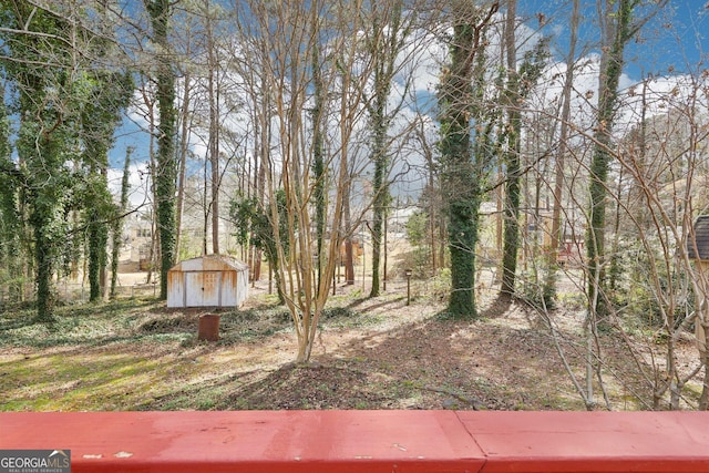 view of yard featuring a storage unit and an outdoor structure