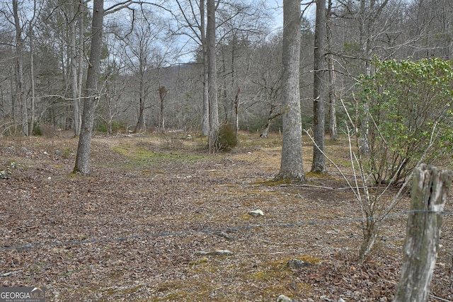 view of nature with a forest view