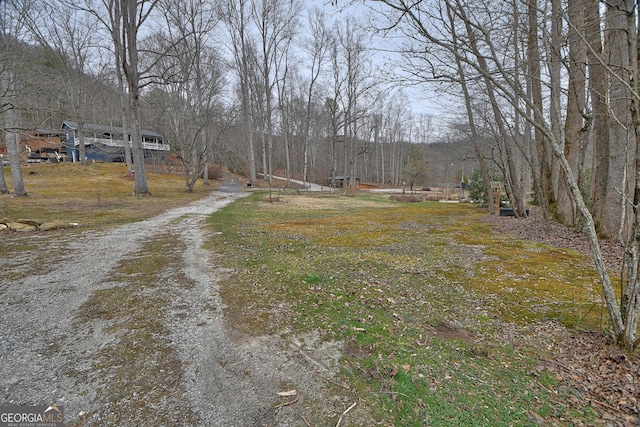 view of street featuring a view of trees