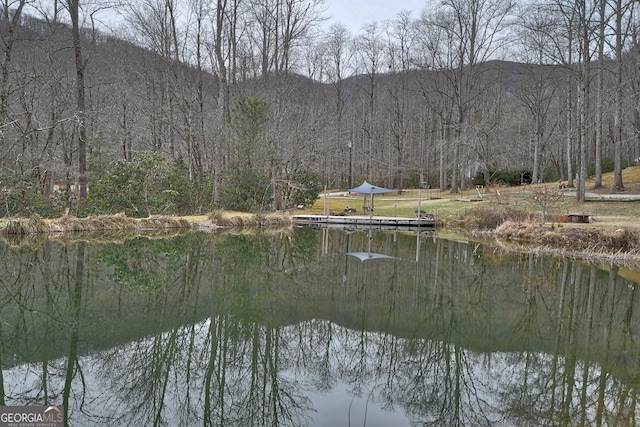 water view with a mountain view and a forest view