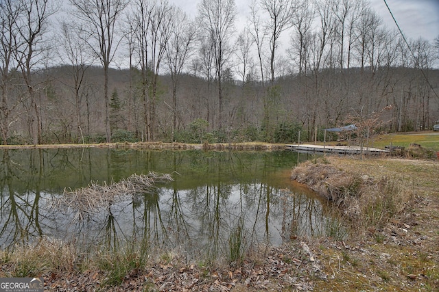 view of water feature featuring a wooded view