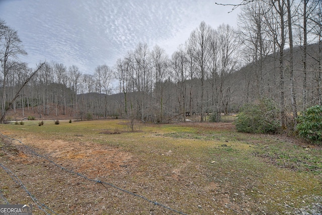 view of yard featuring a forest view