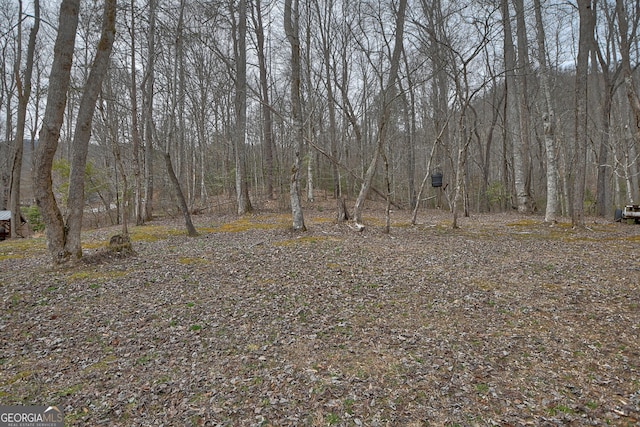 view of yard featuring a forest view