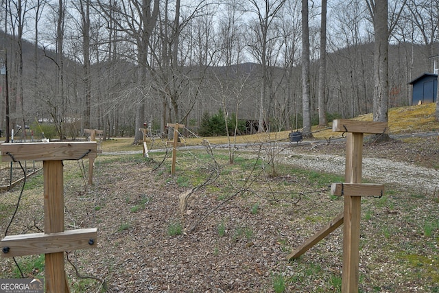 view of yard featuring a view of trees