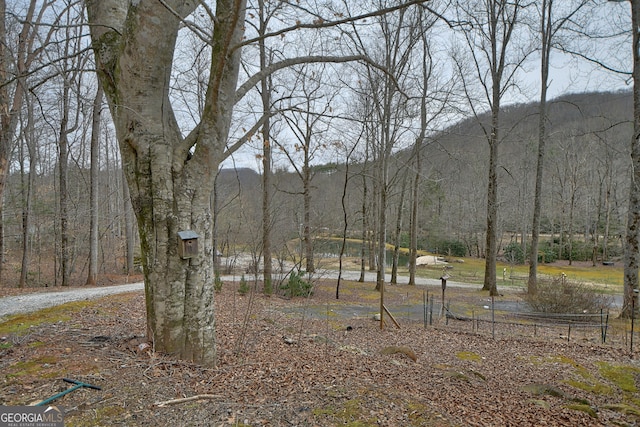 view of yard featuring a forest view